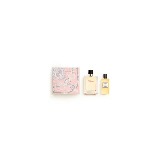 HERMES TERRE EDT SPRAY 100 ML SETS